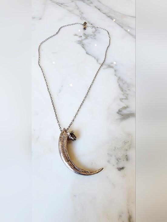 Pamela Love Jewelry - Pamela Love Rare Silver Eagle Talon Necklace